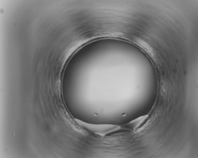 X0000086891332200704231118