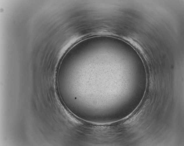 X0000086891333200704231118