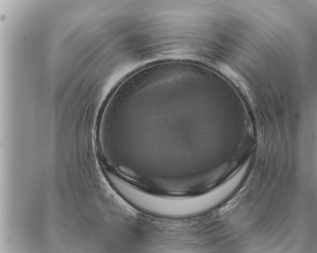 X0000086891334200704231118