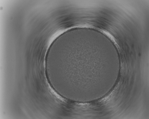 X0000086891335200704231118