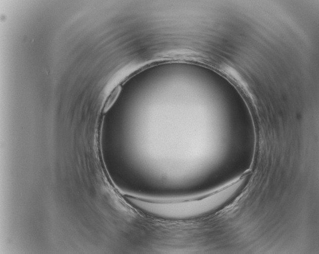 X0000086891336200704231118