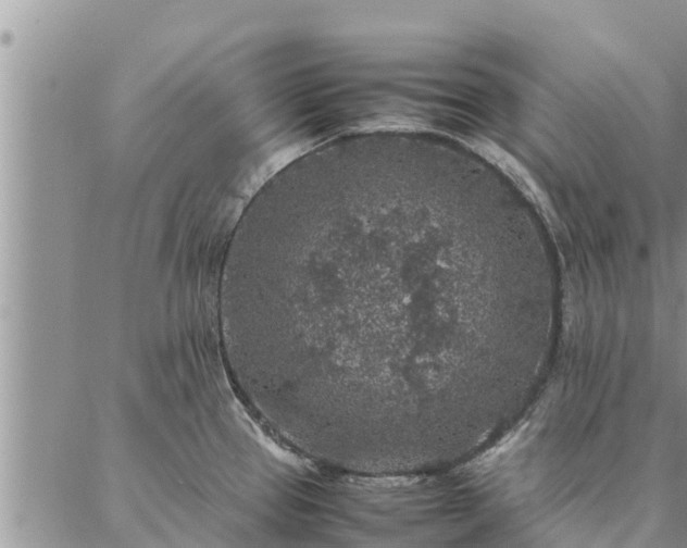 X0000086891337200704231118