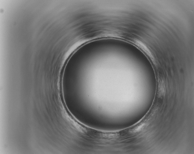 X0000086891339200704231118