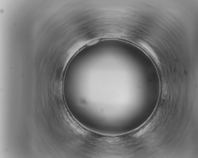 X0000086891340200704231118