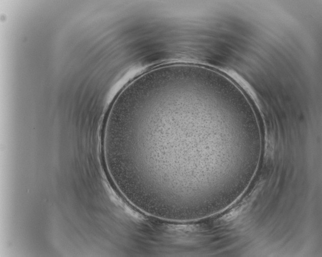 X0000086891341200704231118