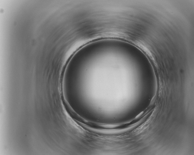 X0000086891342200704231118