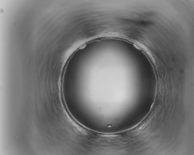 X0000086891343200704231118