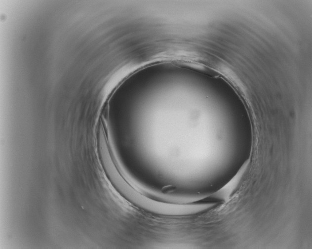 X0000086891344200704231118