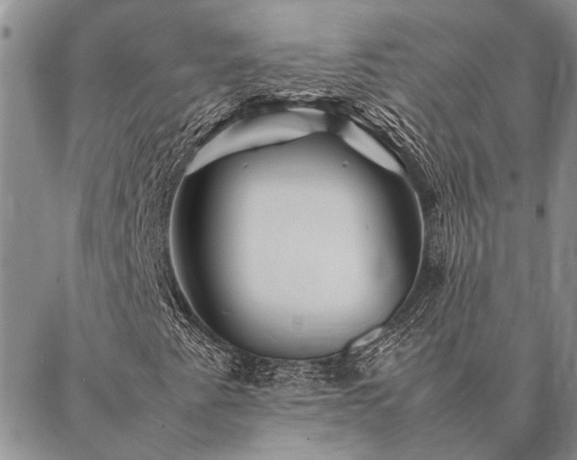 X0000086891345200704231118