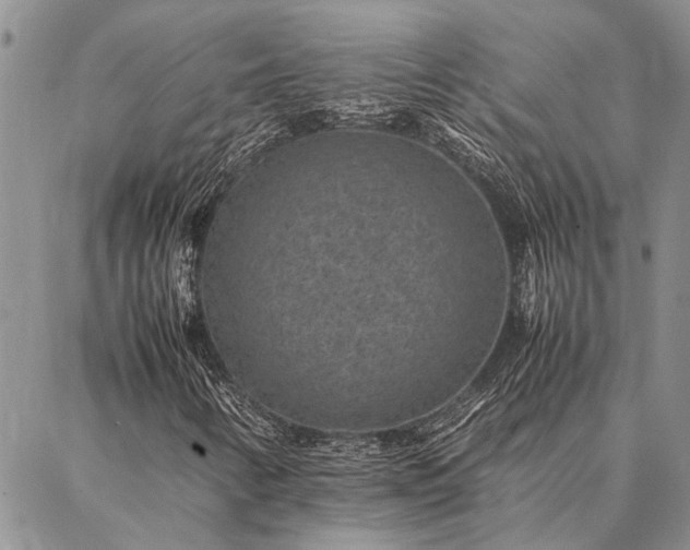 X0000086891346200704231118