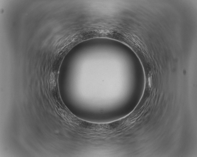 X0000086891347200704231118