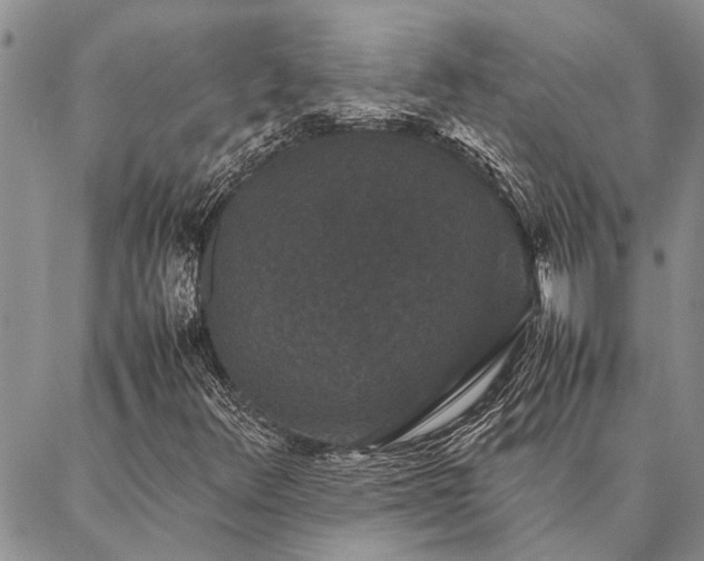 X0000086891348200704231118