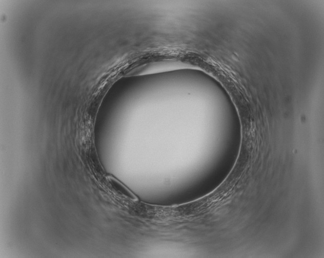 X0000086891349200704231118