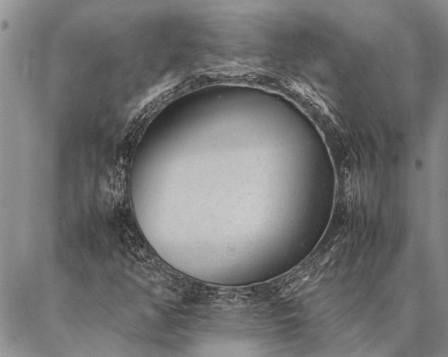 X0000086891350200704231118