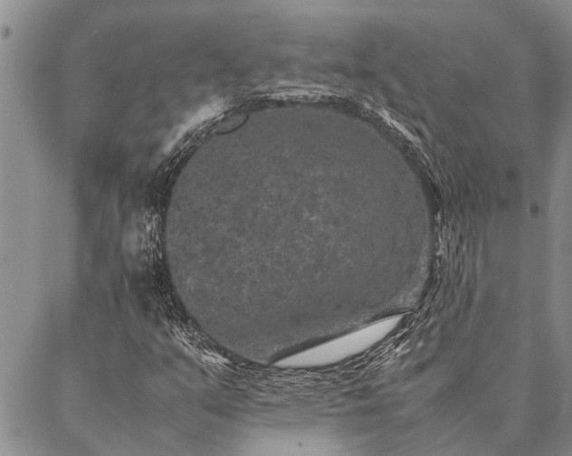 X0000086891351200704231118