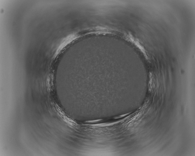 X0000086891352200704231117