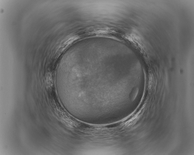 X0000086891353200704231117