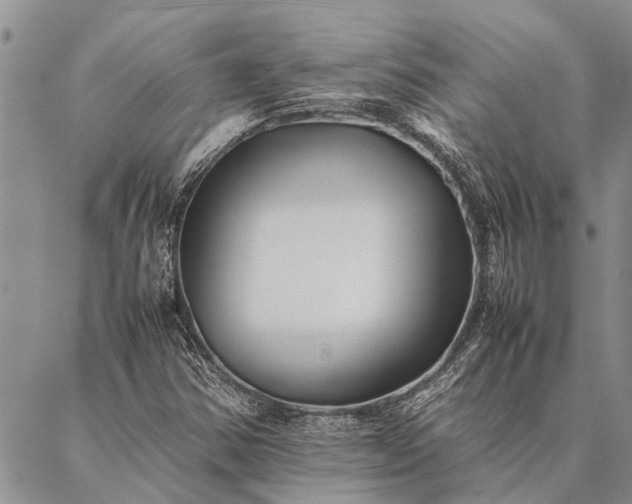 X0000086891354200704231117