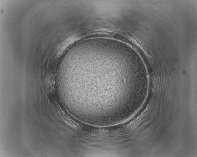 X0000086891355200704231117