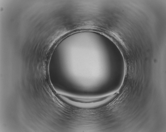 X0000086891356200704231117