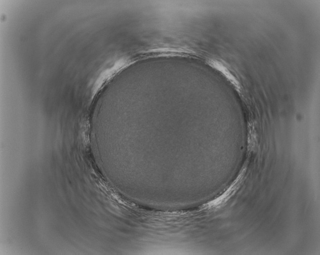 X0000086891357200704231117