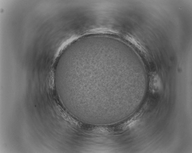 X0000086891358200704231117