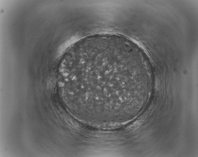 X0000086891359200704231117