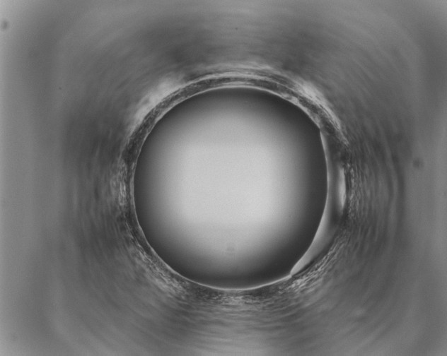 X0000086891360200704231117