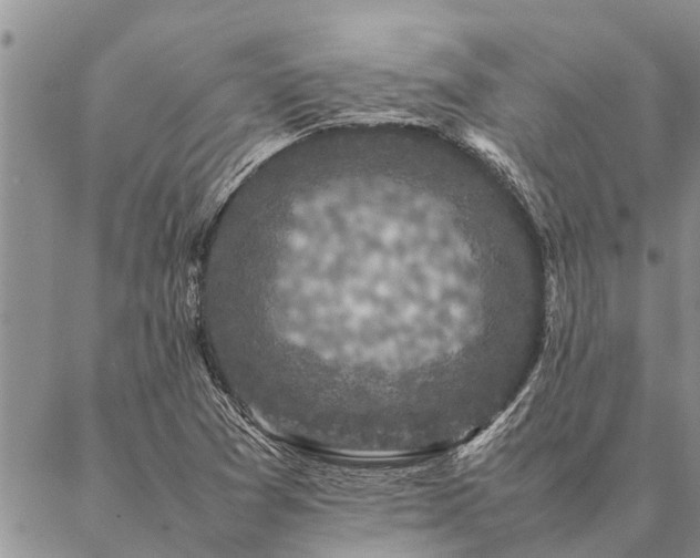 X0000086891361200704231117