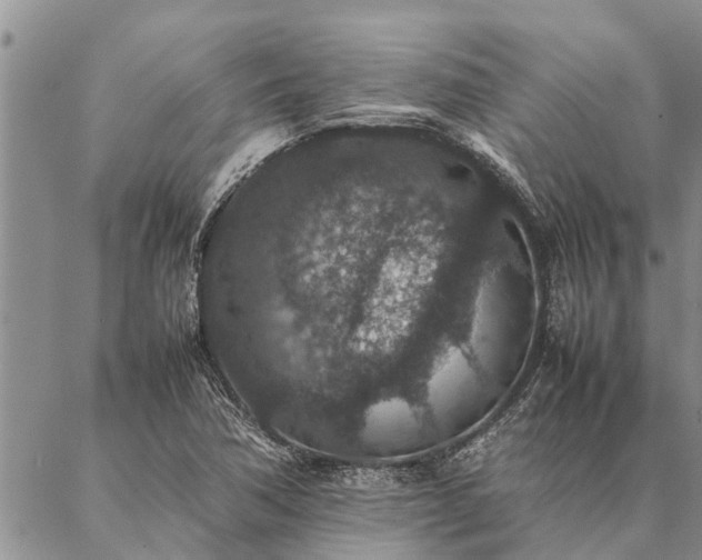 X0000086891362200704231117