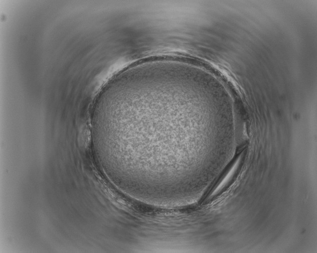 X0000086891363200704231117