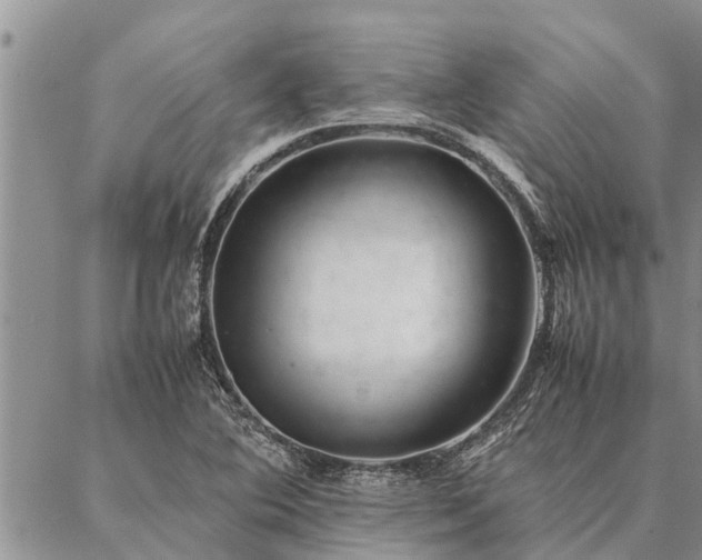 X0000086891364200704231117