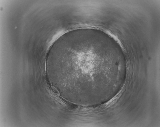 X0000086891365200704231117