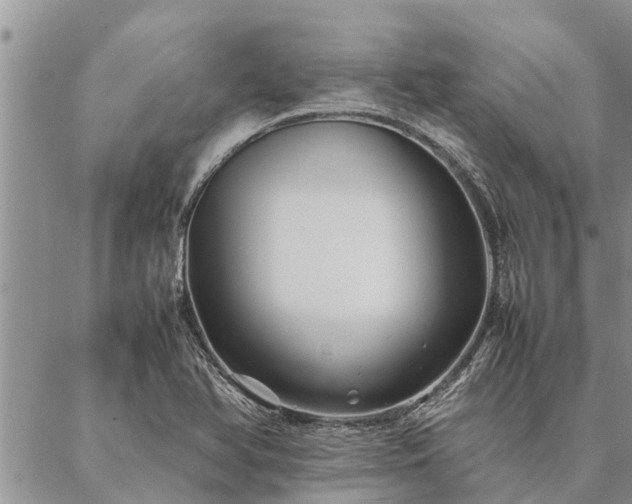 X0000086891366200704231117