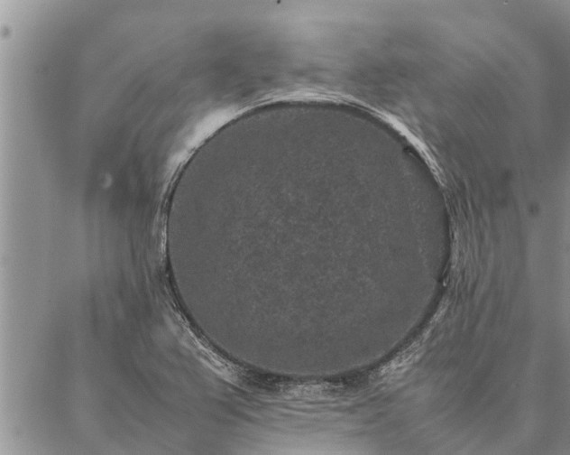 X0000086891367200704231117