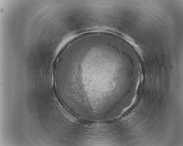 X0000086891368200704231117