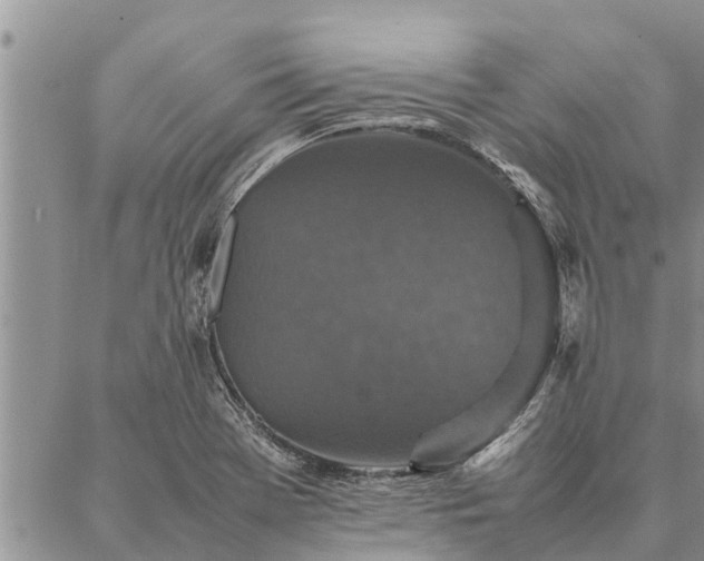 X0000086891369200704231117