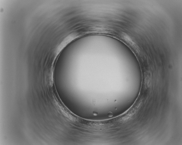 X0000086891370200704231117