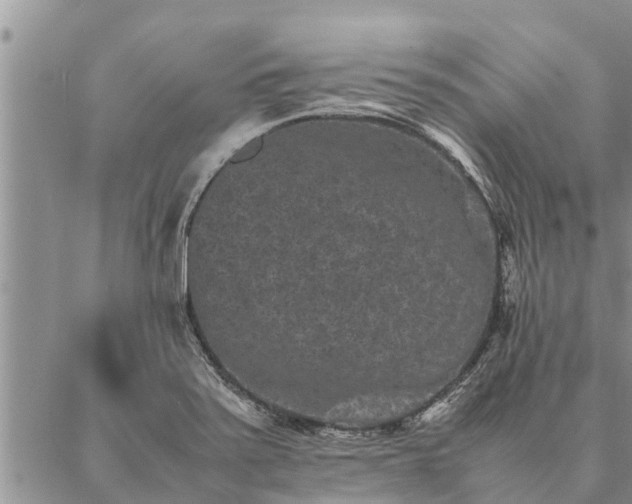 X0000086891371200704231117