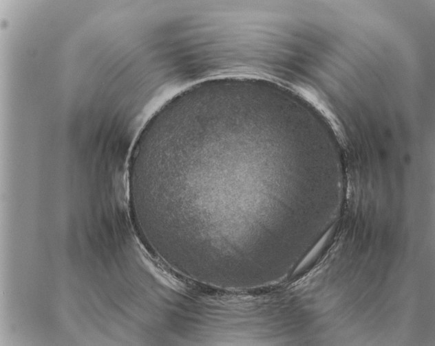 X0000086891372200704231117