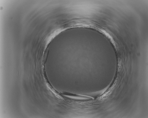 X0000086891373200704231117