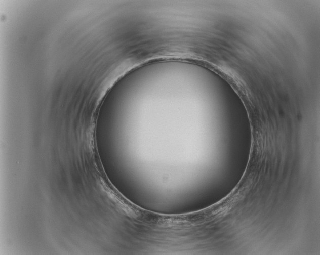 X0000086891374200704231117