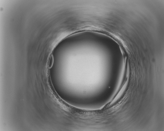 X0000086891375200704231117