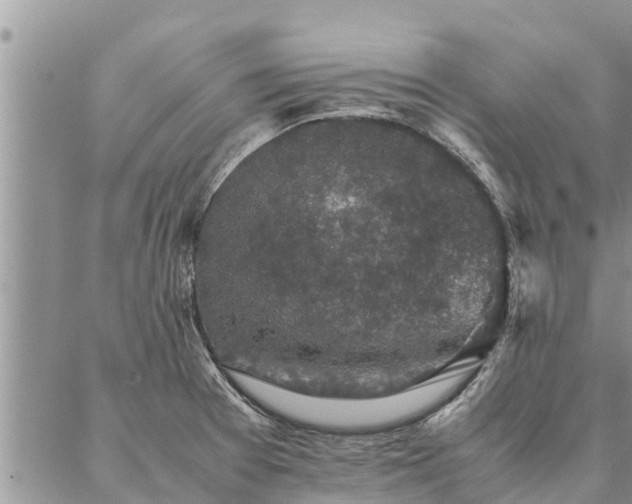 X0000086891377200704231117