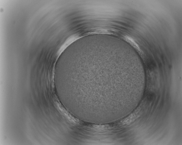 X0000086891378200704231117