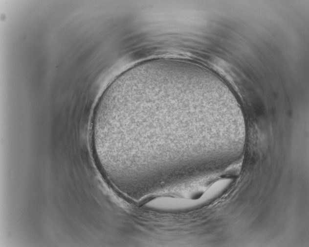 X0000086891379200704231117