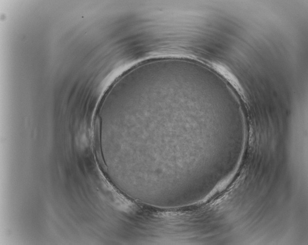 X0000086891380200704231117