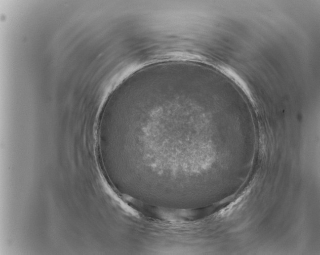 X0000086891381200704231117