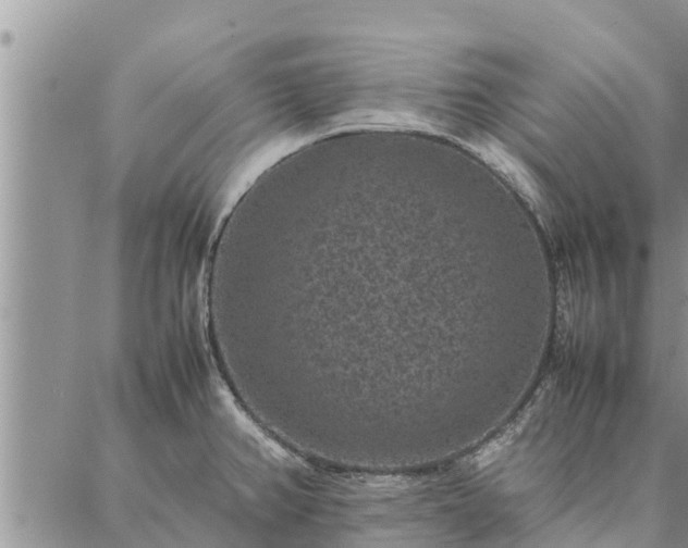 X0000086891382200704231117