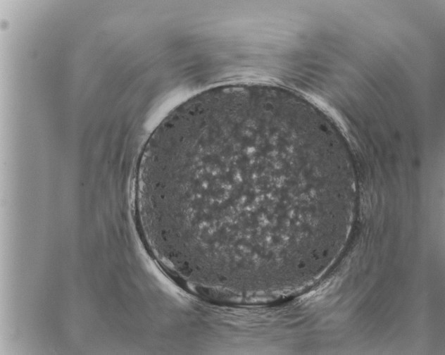 X0000086891383200704231117